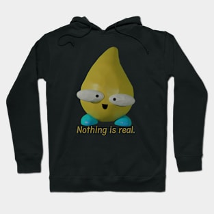 Nothing is Real Hoodie